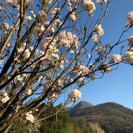 펜션 Eden Sul Lago Di Como *