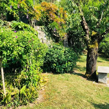 펜션 Eden Sul Lago Di Como 네소